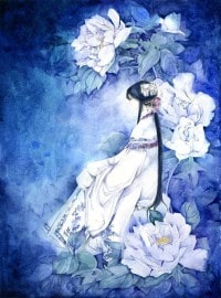 王妃是马甲大佬
